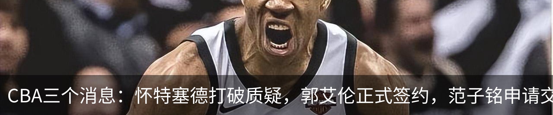 最新动态